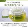 HARIO AYAORI Chacha Kyusu Hergestellt in Einfach für 450 ml Mikrowelle und Spülmaschine (Teekanne) - Hitzebeständiges Glas, Japan, Klar, Transparent, Fassungsvermögen, Rund,