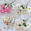 Ouyang Yang Peony Artificial Bloom 12 Shades For Home Decor And Photography Props