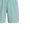 Polo Ralph Lauren SS24 Logo Embroidered Striped Elastic Waist Beach Shorts Men Shorts Green 710905990-004