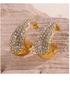 European Style Water Drop Rhinestone Earrings: Fashionable, Light Luxurious, Temperament Enhancing, 18K Gold-Plated Titanium Steel.