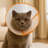 Anti-Chew Cat Elizabethan Collar Adjustable Dog Anti-Bite Collar Cat Protective Collar  Pet Care