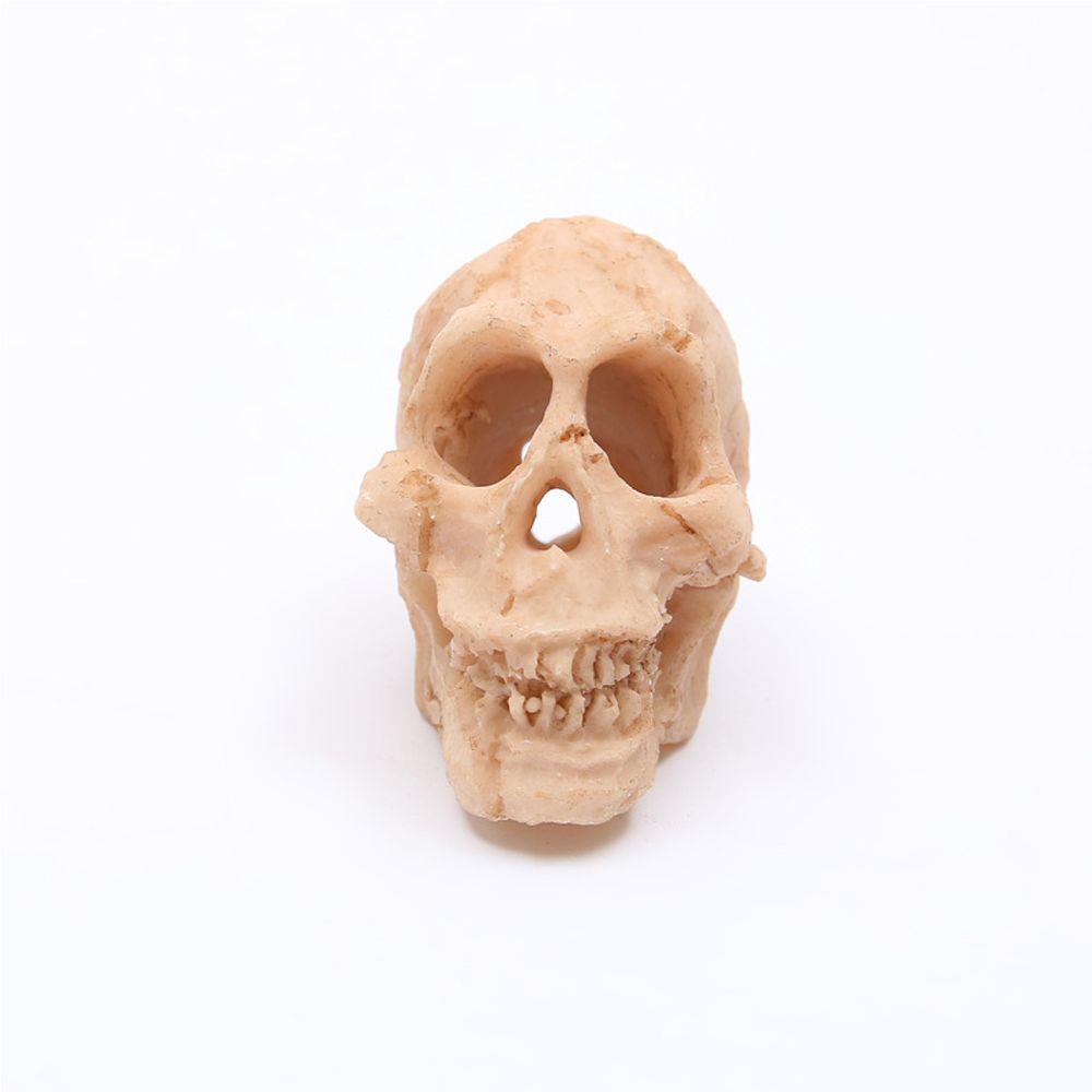 Resin Skull Ornament Aquarium Decor Decorative Landscaping Aquarium Landscape Fish Tank Decoration
