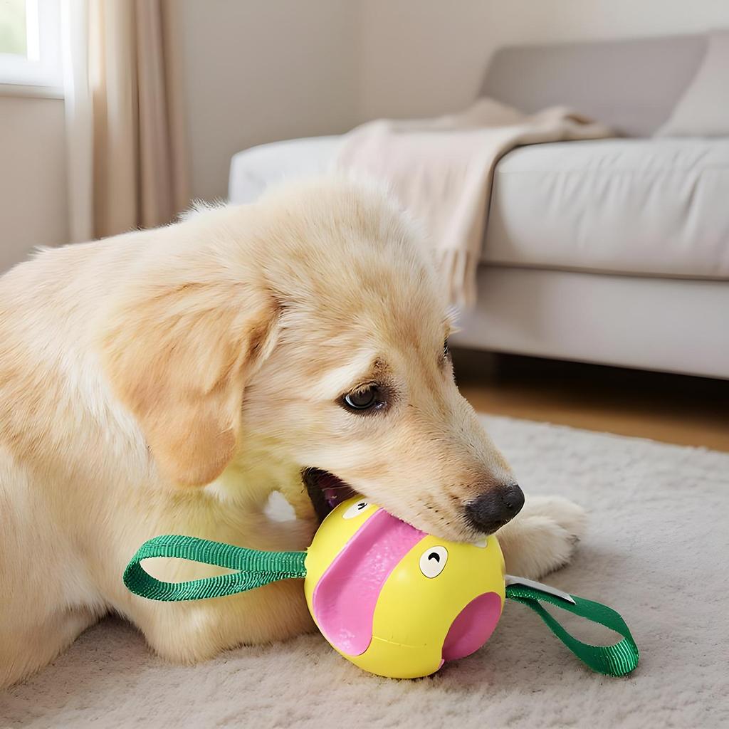 Ball Toys For Dogs Interactive Game Puppy Ball For Puppy Small Medium Large Breed Boredom Self-Entertainment Outdoor Park