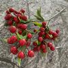 Red Style Chinese Prosperity Fruit For Home Office Living Decoration Room