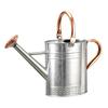 Bamworld 1-Gallon Stainless Steel Watering Can Silver for Indoor Plants Direct from Japan