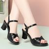 High-heeled Sandals Women's New Summer Temperament Versatile Fish Mouth Women's Shoes Thick Heel Wear One Word with Cool Slippers