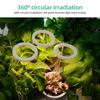 Grow Lights for Indoor Plants 4 Heads 6.2W 301.7lm 80LED 4000K USB Powered Grow Light 8H/12H/16H