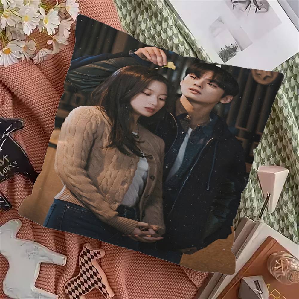 Korean TV True Beauty Pillow Gift Home Office Decoration Bedroom Sofa Car Cushion Cover Case 45x45