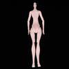 Stylish Nude Monster Doll Body Girl Model Toy For High 3 Pieces