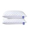 Luxury Five-Star Hotel Feather Velvet Pillows - Non-Collapsible Gift Pair for Home