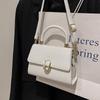 Summer Messenger Bag Niche Portable Small Square Bag Kelly Bag Versatile Fashion Single Shoulder Crocodile Pattern Baguette Bag Women