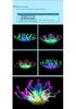 Silicone Soft Coral Aquarium Ornament 