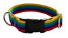 Dog Collar 2 cm with Buckle Adjustable Rainbow Fasten Dog Collar 2 cm with Buckle Adjustable Rainbow Fasten S: 26-35cm