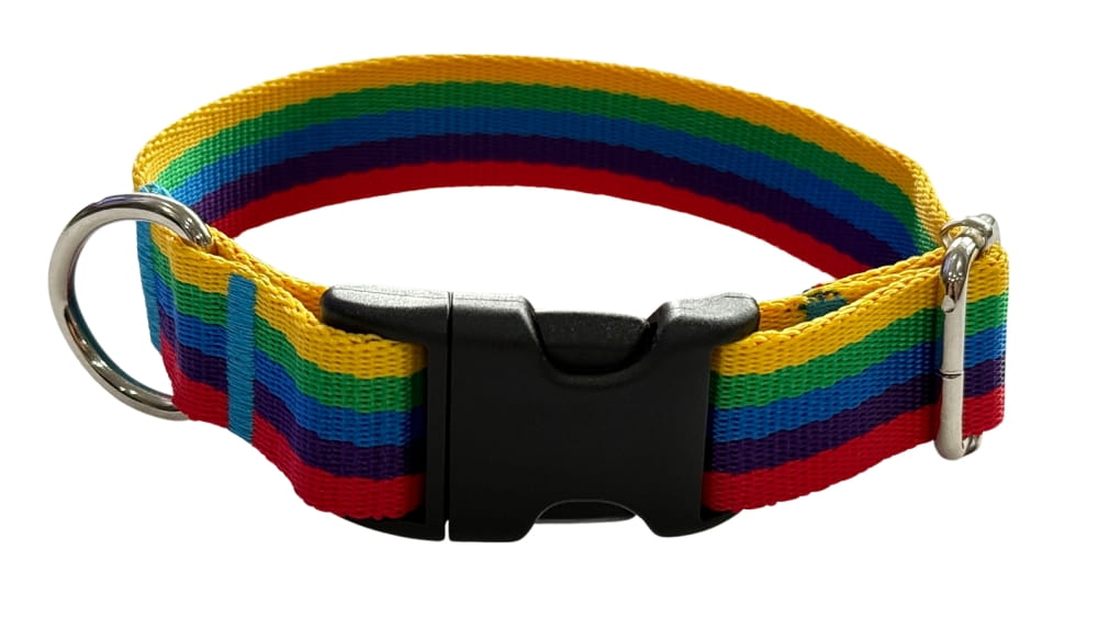 Dog Collar 2 cm with Buckle Adjustable Rainbow Fasten Dog Collar 2 cm with Buckle Adjustable Rainbow Fasten S: 26-35cm