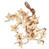 Bird Wood Star Toy Bite Resistant   Wood Star Chewing Toy for Budgies Parakeet Cockatiel Lovebird