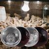 Pour Volailles, Animaux de Compagnie Ampoule Chauffante Ampoule Chauffage Ampoule Éclairage Habitat Reptile Lampe Chauffante Animal de Compagnie
