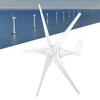800W Small Wind Generator 5 Blades Power Parts Turbines Kit  for Marine Home ChargingWhite 12V