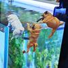 1pcs New Dog Figurine Fish Tank Landscape Decoration, Round Tank Edge Decoration Japanese Leisure Creative Landscape.
