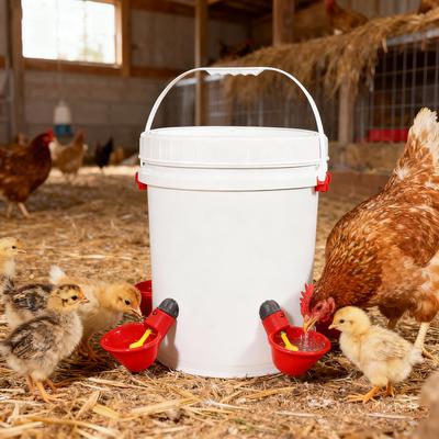 5Pcs Chicken Drinking Cups Automatic Drinker Bowl with Yellow Nipple Chicken Quail Drinking Drinker Poultry Breeding Supplies
