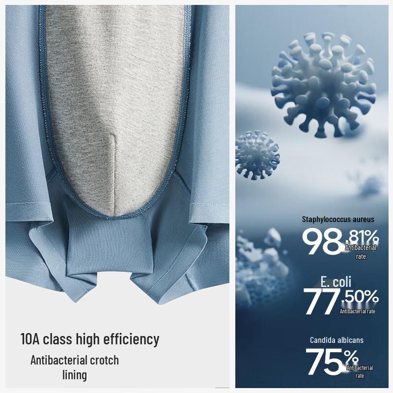 HLA Men's 50-Count Modal Antibacterial Boxer Briefs 3-Pack