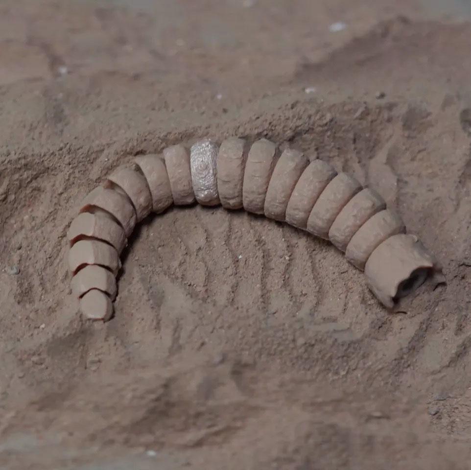 Desert cannibal models, sandworms, creative collection desktop decorations, animal models, holiday gifts