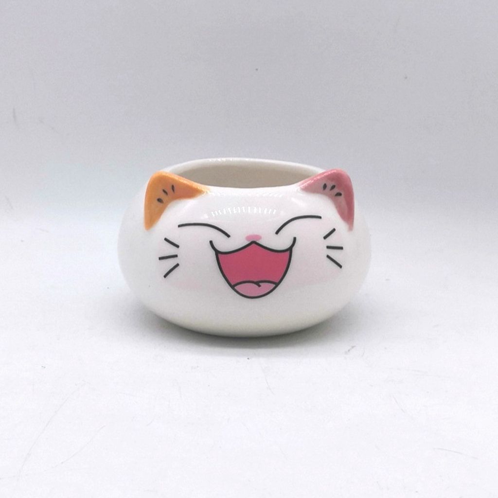 Table Decor Ornament Flower Planter Garden Supplies Bonsai Accessories Flowerpot Succulent Potted