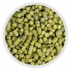 Houblon de Lublin (PL) - 100g Bière Maison