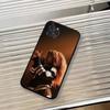 Fashion Singer For S-SZA Phone Case For iPhone 17,16,15,14,13,12,11 Plus,Pro Max,XS,Soft Black Cover