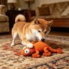 Pet Toy Lizard Shape Bite-Resistant Knot Interactive Dog Chew Toy Relieves Boredom Puppy Teething