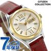 Collection Mechanical Day Date Automatic COLLECTION & Watch, Women's, Analog, PD7166-03A
