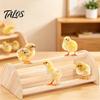 Poultry Coop Perch Wooden Chick Stand, Pine Wood Chicken Roosting Bar, Semi-Circular Backyard Accessories Toy Jungle Gym for Brooder Parrots