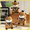 25Cm Cute High Quality Cartoon Sea Otter Plush Doll With Doctor Hat And Diploma Home Decor Graduation Gift For Kids And Students