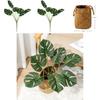 Faux Green Plant Monstera Deliciosa Liebm Leaves For Home Office And Stylish Decor