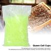 1000pcs Queen Cell Cups Queen Rearing System Honey Bee Beekeeping Supplies