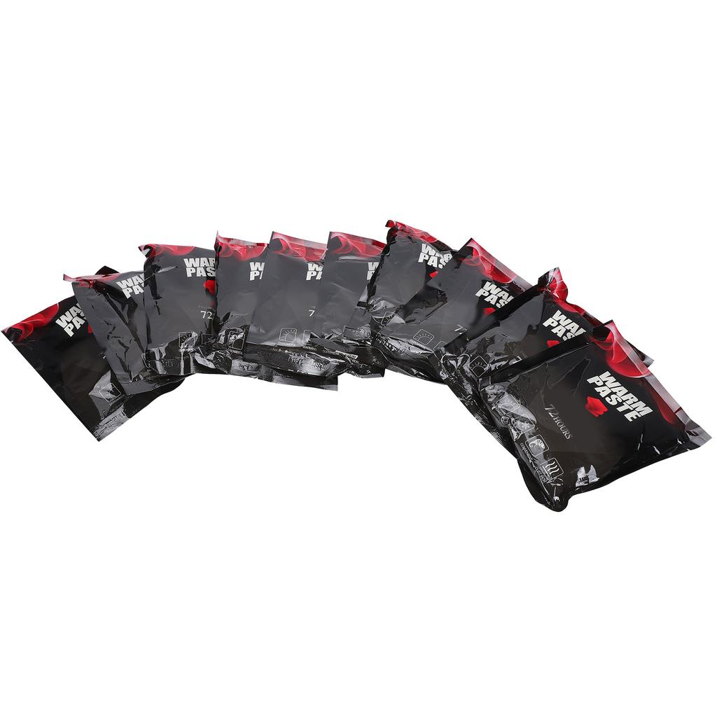 10pcs 72 Hour Heat Pack Warmer for Tortoise Spiders Scorpion Reptiles Insects Shipping