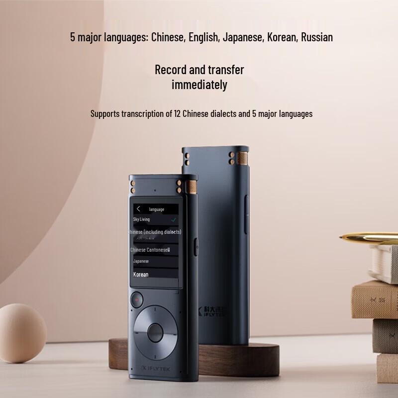iFLYTEK Smart Voice Recorder SR302Pro
