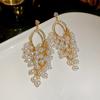 European and American tassel long pearl earrings light luxury high-end stud earrings temperament cold wind trend retro earrings