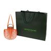 Longchamp Le Pliage Filet 38 Tote Bag Women Shoulder Bag Orange 10121HVH217