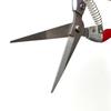 Stainless Steel Gardening Shears for Fruit Picking and Flower Pruning