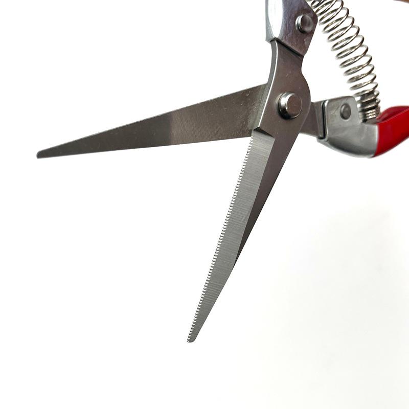 Stainless Steel Gardening Shears for Fruit Picking and Flower Pruning