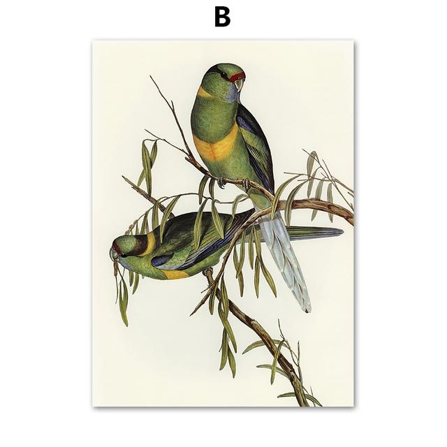

Винтажная настенная живопись с попугаем и птицей, красочная картина на холсте с изображением колибри, постеры на скандинавскую тему и принты, настенные панно для декора гостиной, без рамки 21*30cm