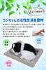 TASINO Border Collie Plush Realistic and 26 X 18 Looks Just Like the Life Toy, Cute, Cm,