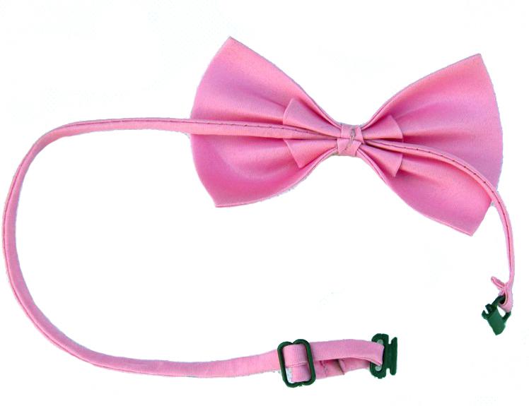 Junge Mädchen Haustier Fliegen Einfache Schmetterlingsfliege Hochzeit Neues Geschenk Fliege Neuheit Halsbekleidung Accessoires CA44