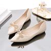 Trendy Flat Sole Single Shoes for Women 2024 New Style Shallow Mouth Pointed Versatile Soft Sole Temperament Luxu Women's Shoes