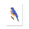 Toucan Watercolor Tropical Rain Forest  Wall Art Canvas Painting Nordic Toucan Posters And Print Picture Living Room Home Decor