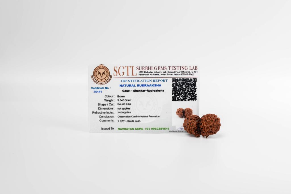 Natural Gauri Shankar Rudraksha Bead – Nepali Origin | Bead for Harmony, Unity, Relationship Balance & Emotional Healing | Organic & Lab Certified