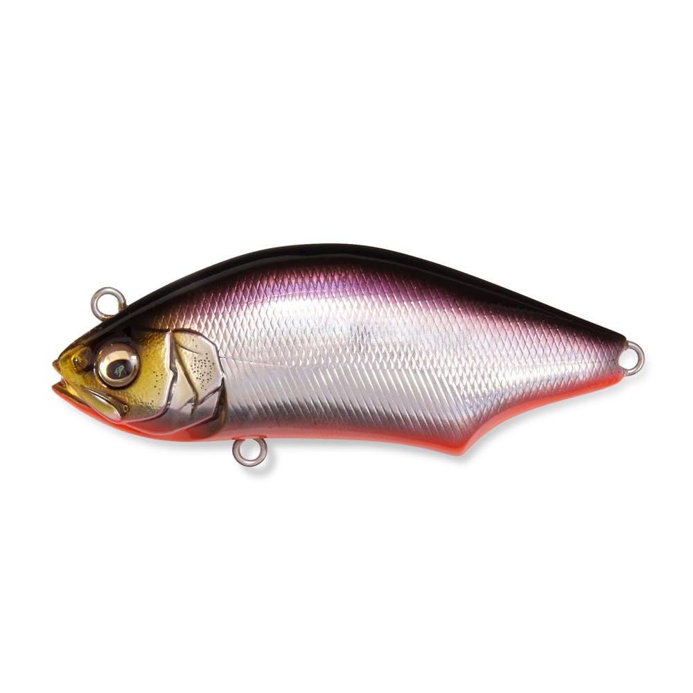 Megabass HADARA TRAP 70 SH RB Shad