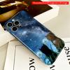 2DFlat Starry Night Cats In Grass All Inclusive Film Hard iPhone Case, Compatible with iPhone 18 Pro Max 17 16 15 14 13 12 11
