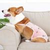 Shoulder Straps Dog Physiological Pants Leak Proof Dog Shorts Breathable Dog Diapers Incontinence