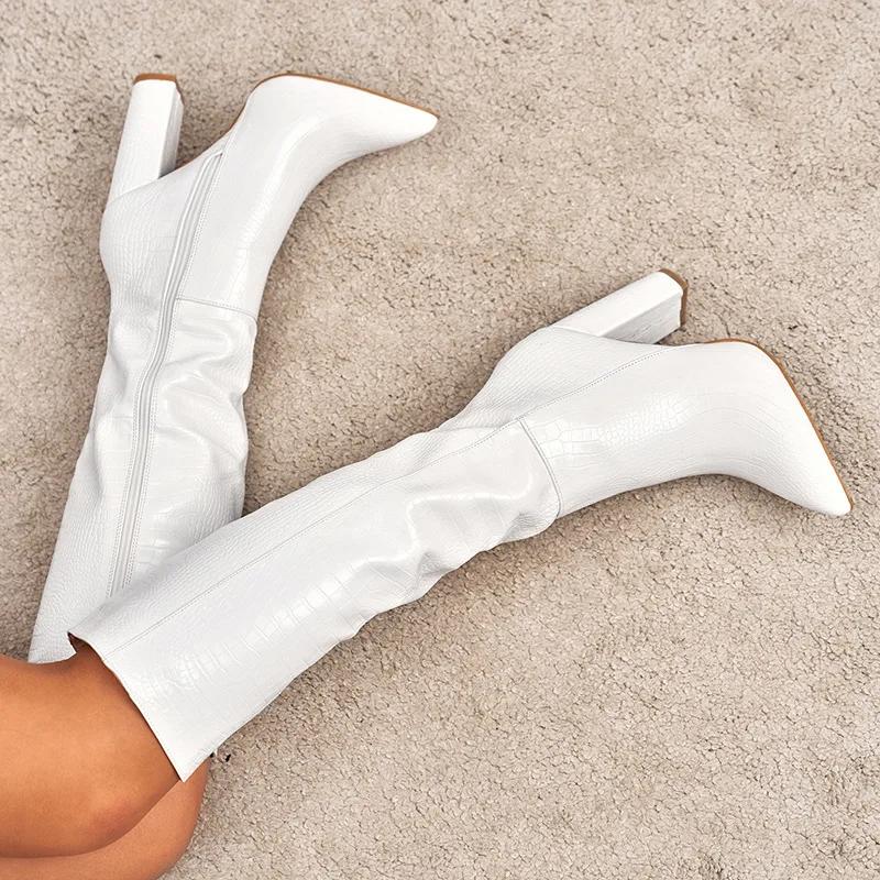 Pointed Thick Heels Knee Long Boots Women'S  Spring/Autumn Patent Leather  Pattern Panel Side Zipper Boots